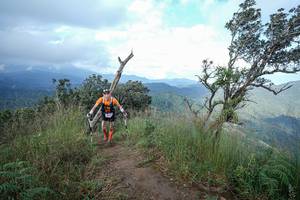 BIB: 
                            <button type="button" onclick="openModal(22372840)" class="btn btn-primary btn-sm float-right btn-popup" data-toggle="modal" data-target=".modal-high-quality">
                        <i class="fas fa-shopping-cart"></i> Add to Cart
                    </button>
                                            <button type="button" onclick="isThisMe(22372840, true)" class="btn btn-success btn-sm float-right btn-popup btn-isme hidden" data-toggle="tooltip" data-placement="bottom" title="นี่คือรูปของคุณใช่ไหม คลิกที่นี่เพื่อเอาเข้าอัลบั้ม">
                        <i class="fas fa-plus"></i> Add to album
                    </button>
                    <button type="button" onclick="isThisMe(22372840, false)" class="btn btn-warning btn-sm float-right btn-popup btn-isnotme hidden">
                        <i class="fas fa-ban"></i> Remove from album
                    </button>